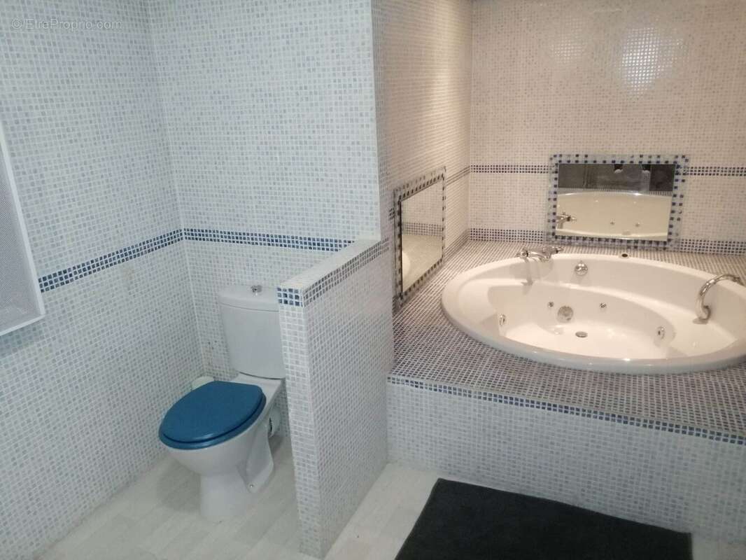 Maison 280 m² à Lignieres  - photo 27