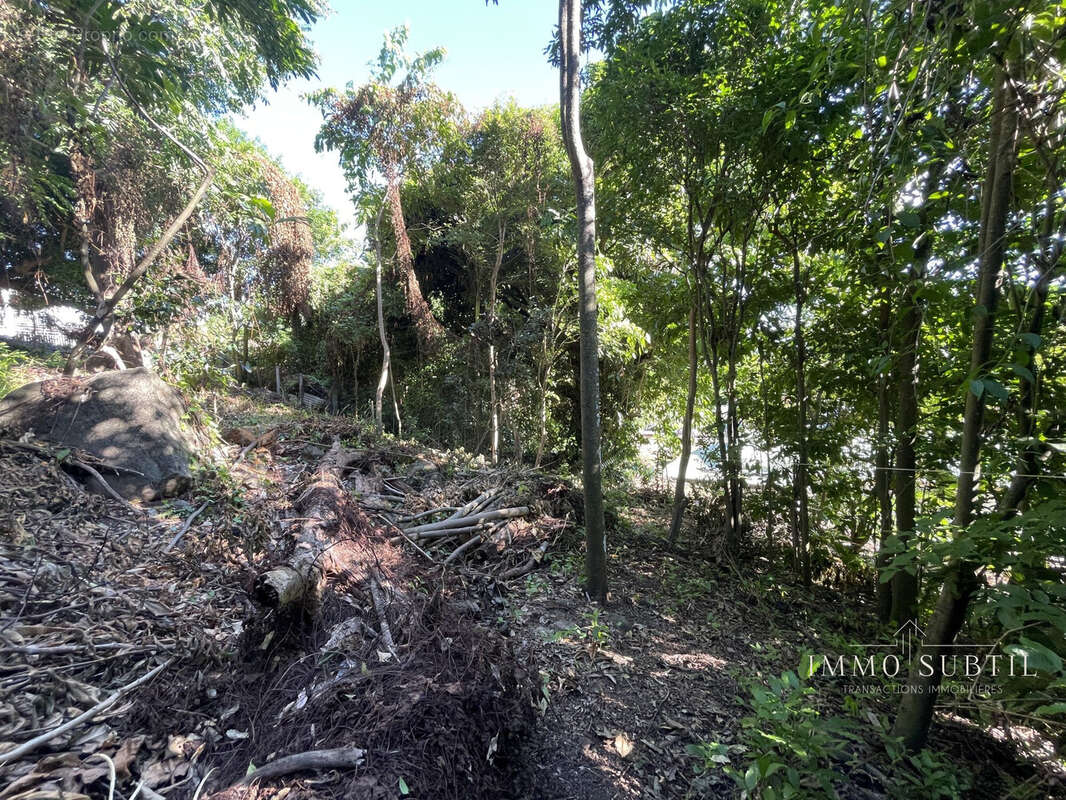 Terrain à GOURBEYRE