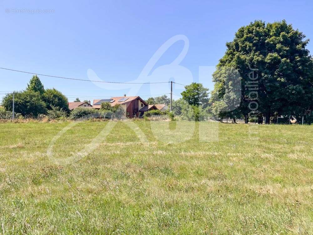 Terrain à bâtir (Lot 1) - Terrain à LONGECHENAL