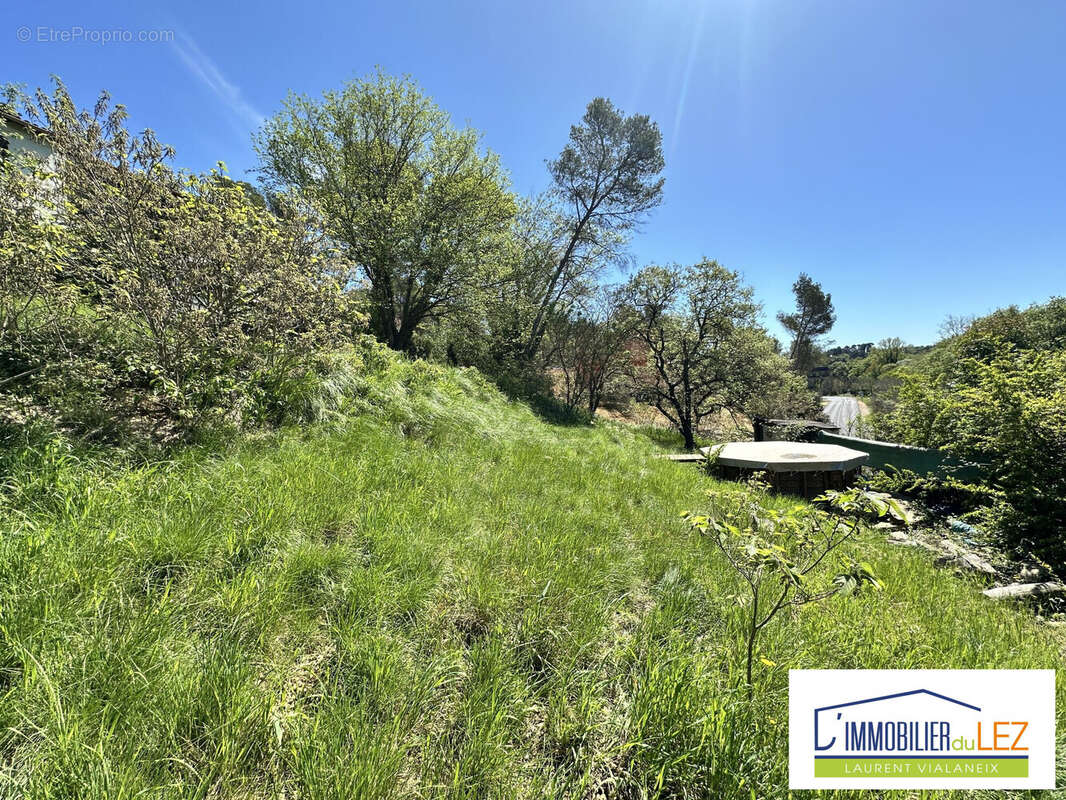 Terrain à MONTFERRIER-SUR-LEZ