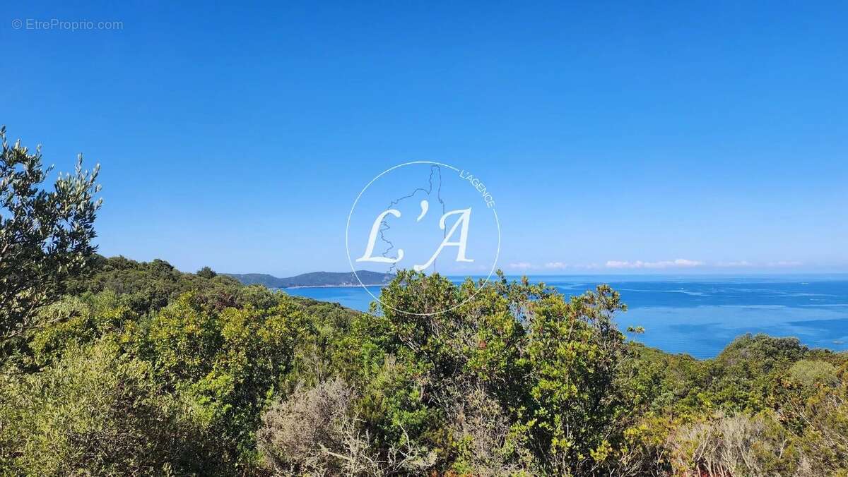 Terrain loisirs 6 679 m² vue mer Ajaccio Castagna Capo di Muro (Se Loger) - photo 8