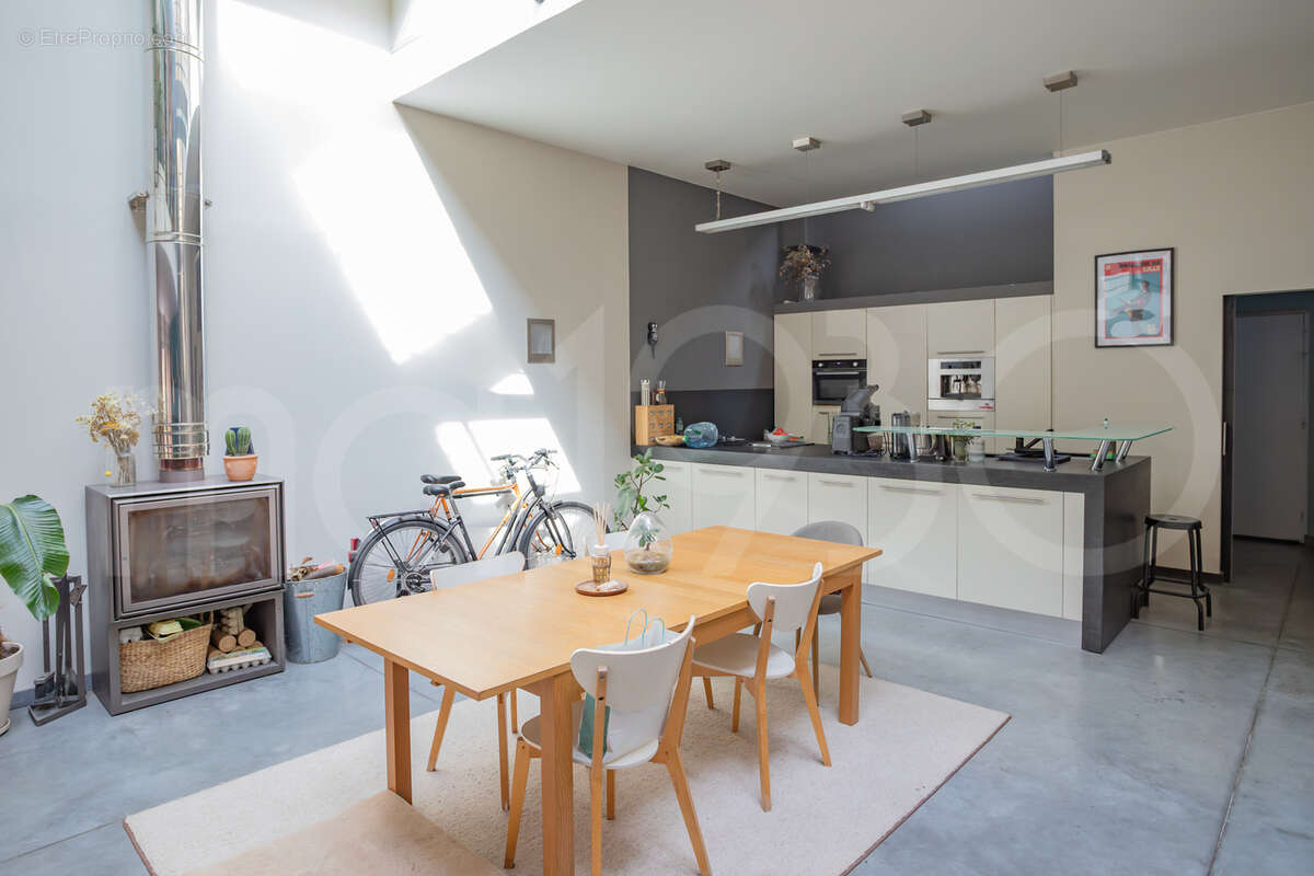 Grand loft avec deux terrasses - photo 4