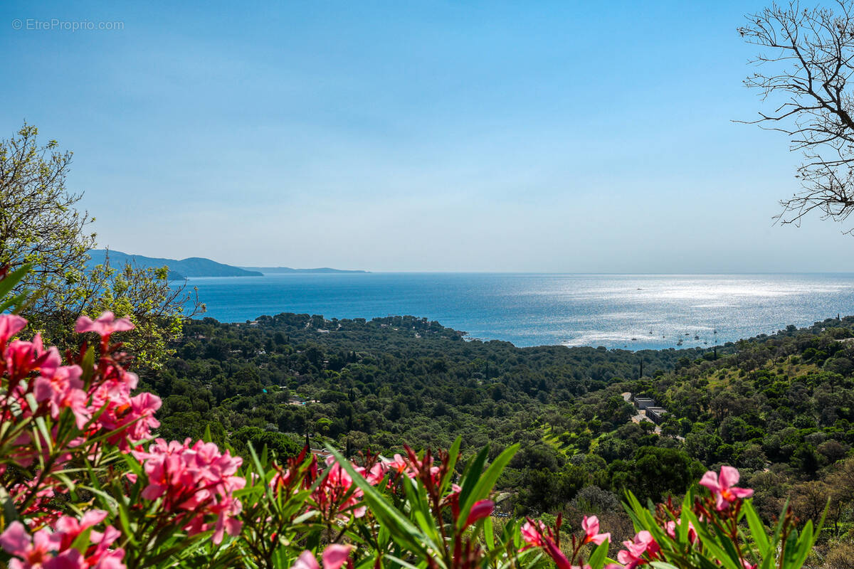 Terrain à BORMES-LES-MIMOSAS