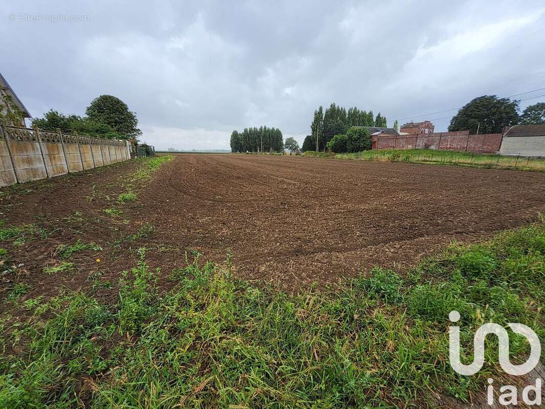 Photo 5 - Terrain à CUVILLERS