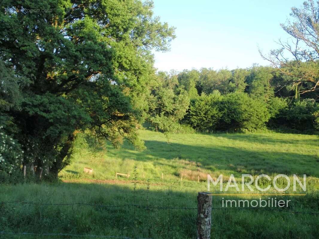 Maison à MAISON-FEYNE