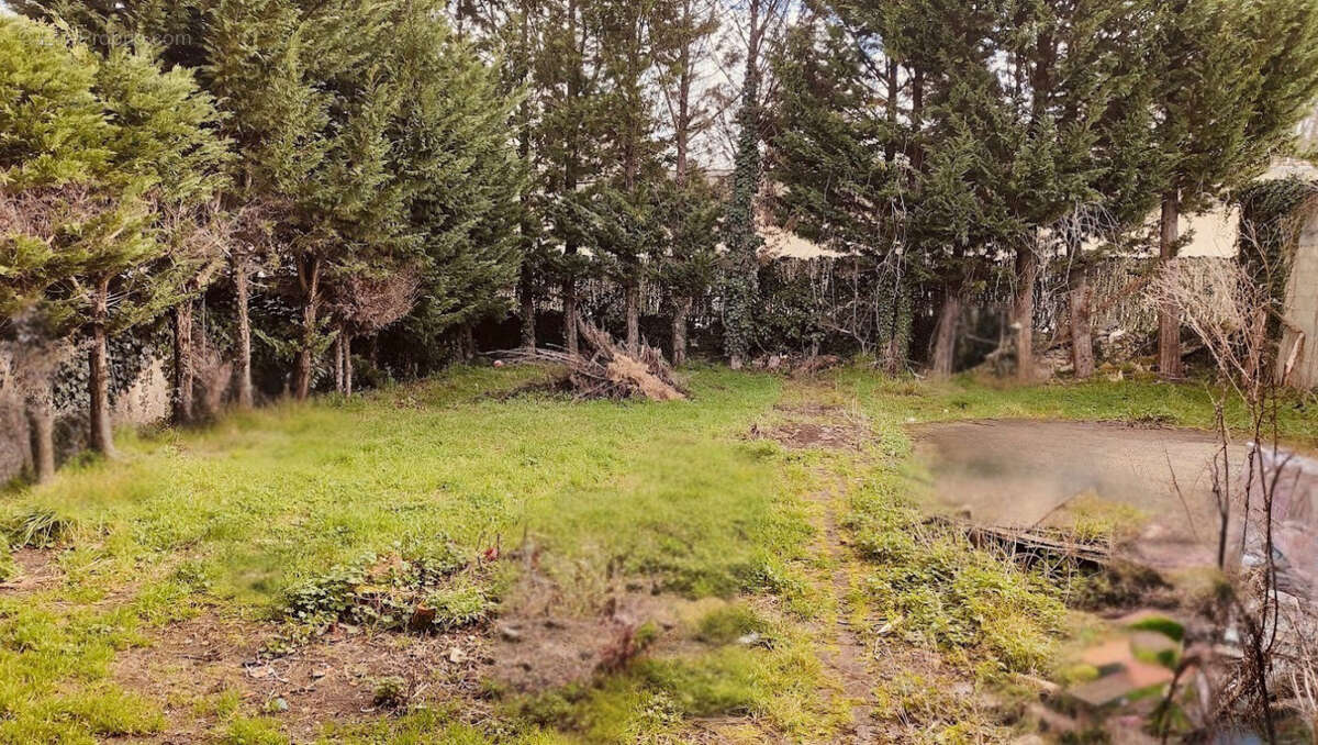 Commerce à ETAULIERS