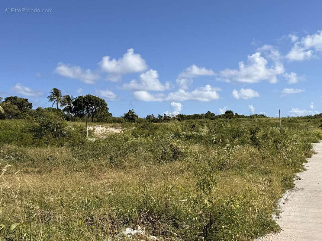 Terrain à PETIT-CANAL