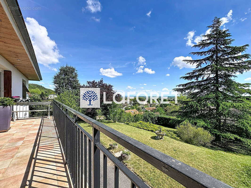 Maison hauteur Beynost - 110m² - 5 pièces - 1761m² de terrain - photo 5