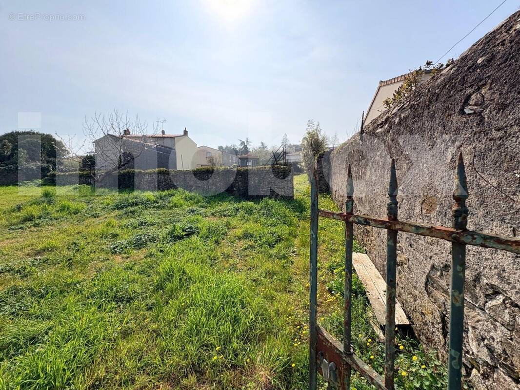 IMG_9347 - Terrain à LIRE