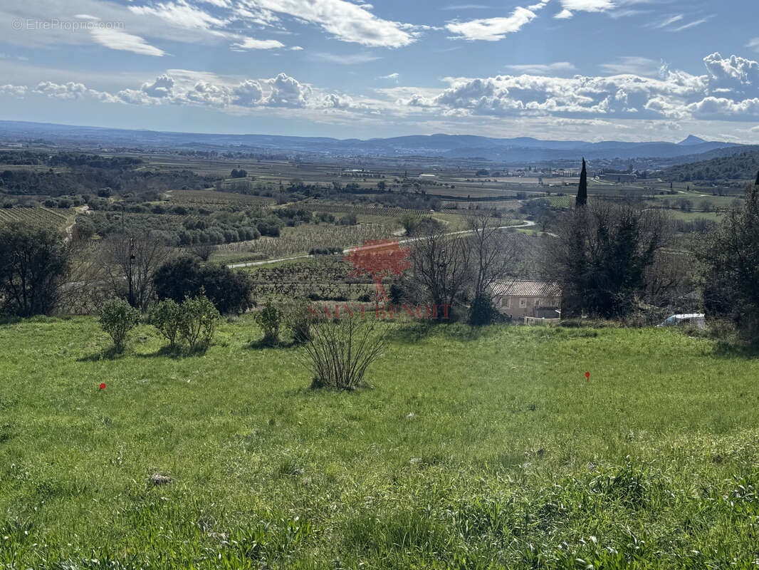 Terrain à ARBORAS