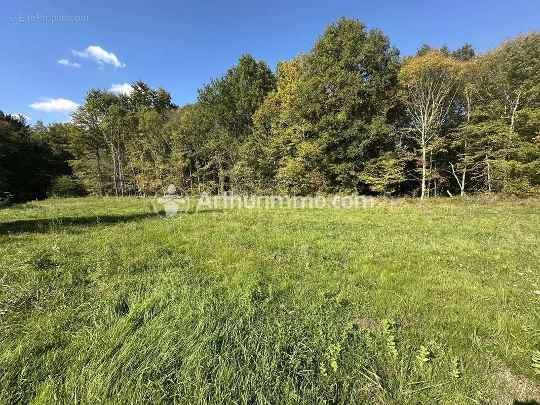 Terrain à SAINT-ASTIER