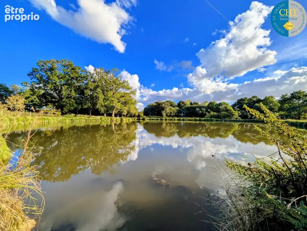A vendre ÉTANG ET SOURCE sur parcelle d'1,50 hectare À MERNEL (35330) AVEC CHT IMMOBILIER - photo 3