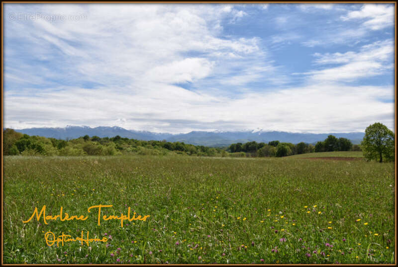 Ferme à rénover sur 3,4 ha de pâtures - vue Pyrénées - LUCQ DE BEARN (64) - photo 11