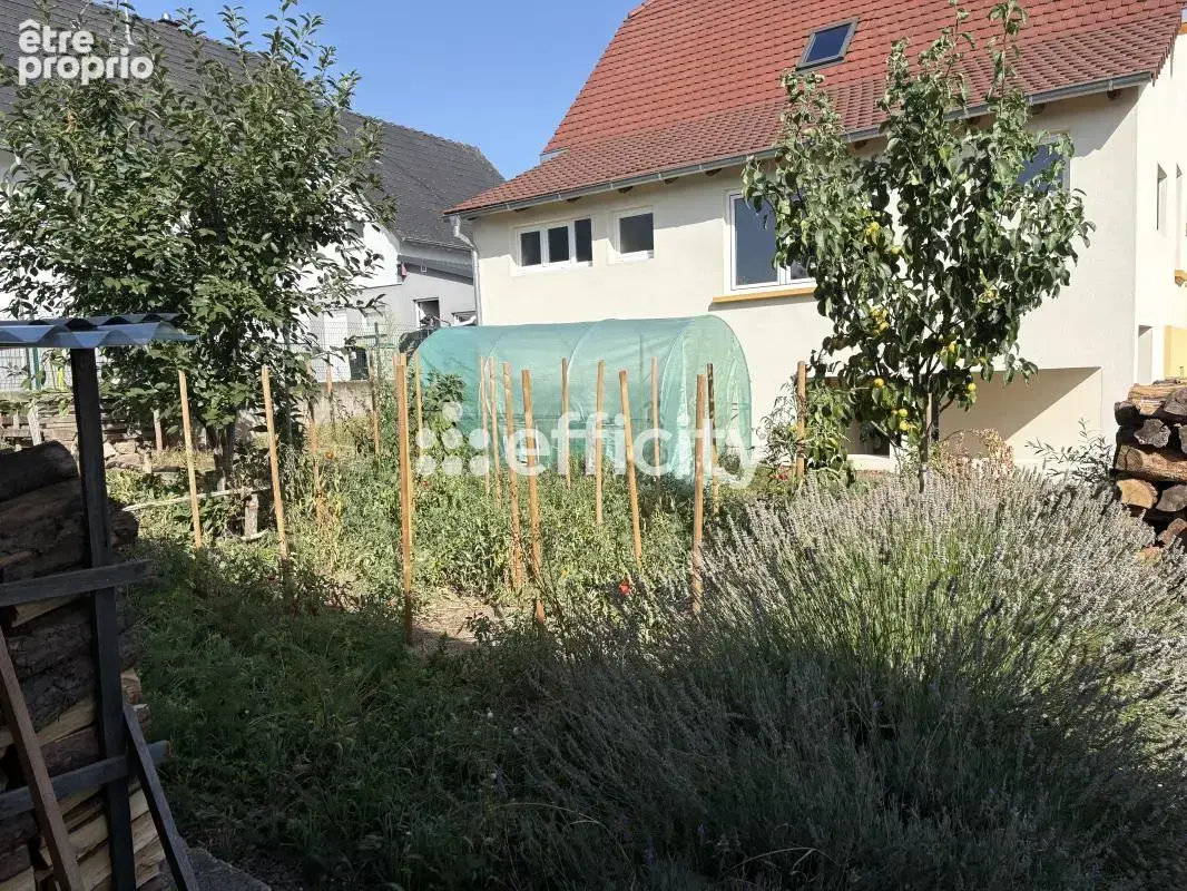 Maison 5 pièces 128 m² à vendre à Laubach (67580) - photo 3