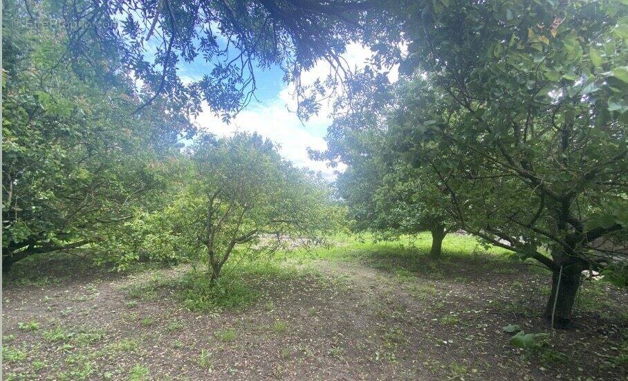 Terrain à SAINT-FROULT