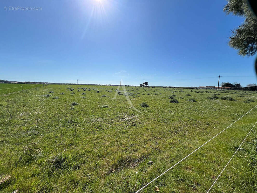 Maison à LONGEVILLE-SUR-MER