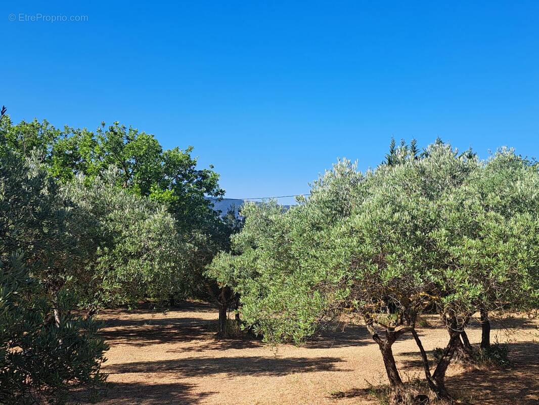 Photo 1 - Terrain à GORDES