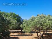 Photo 1 - Terrain à GORDES