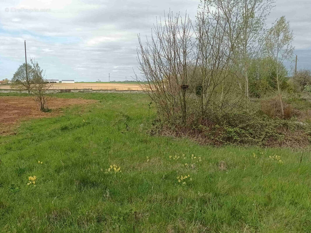 Région Nangis - photo 2