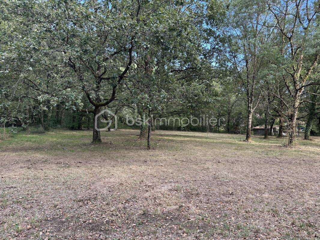 Terrain constructible de 850 m2, tres bel environnement - photo 5