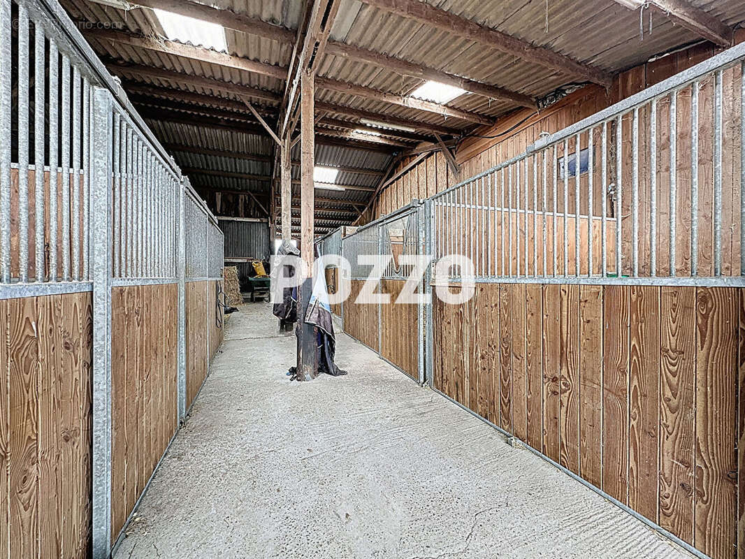 Maison + haras sur 11 ha avec piste, barn, 22 boxes, rond de longe, paddocks et herbage, vue Mt St Michel - photo 16