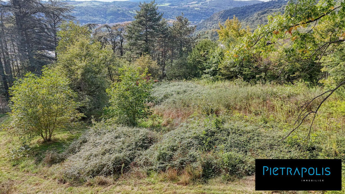 Terrain à VIENNE