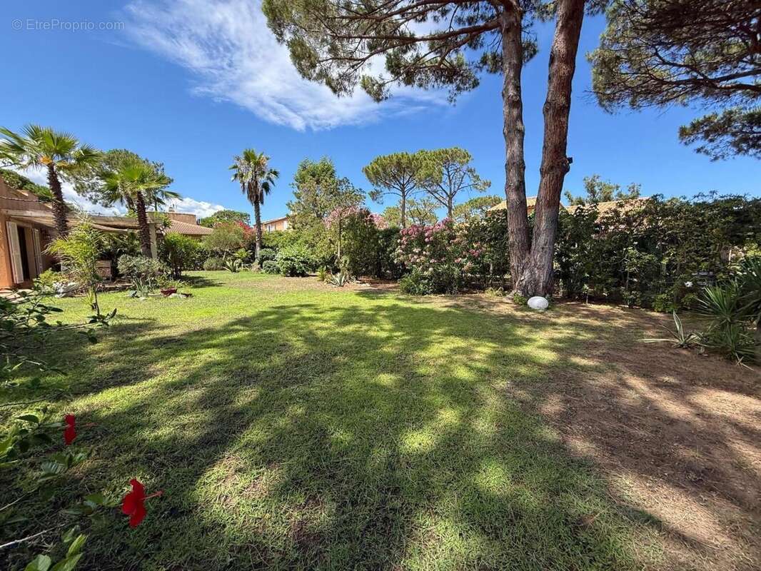 Maison 199 m² à Borgo  - photo 9