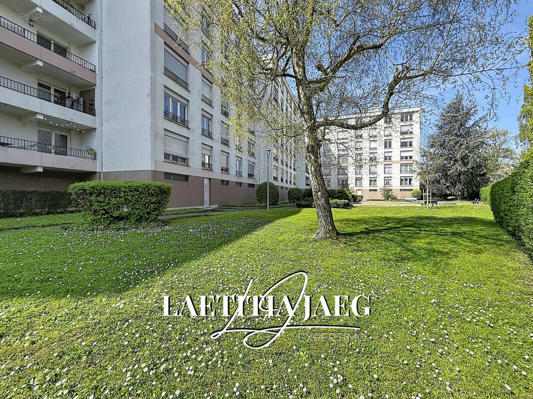 Appartement à SCHILTIGHEIM