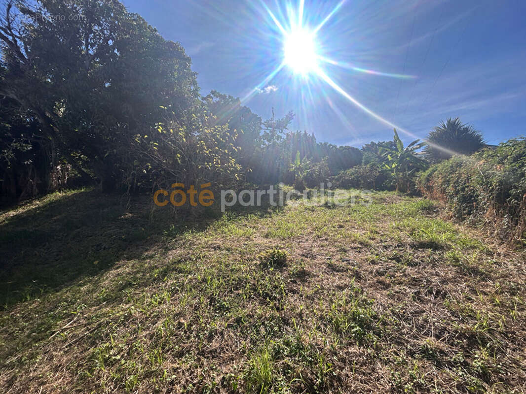 Terrain à LE TAMPON