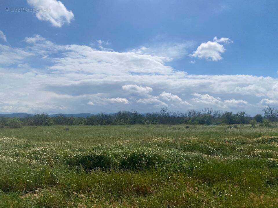 Terrain à FERRALS-LES-CORBIERES
