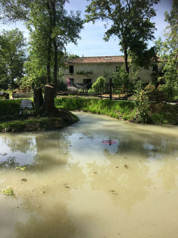 Maison à SAINT-FORT-SUR-GIRONDE