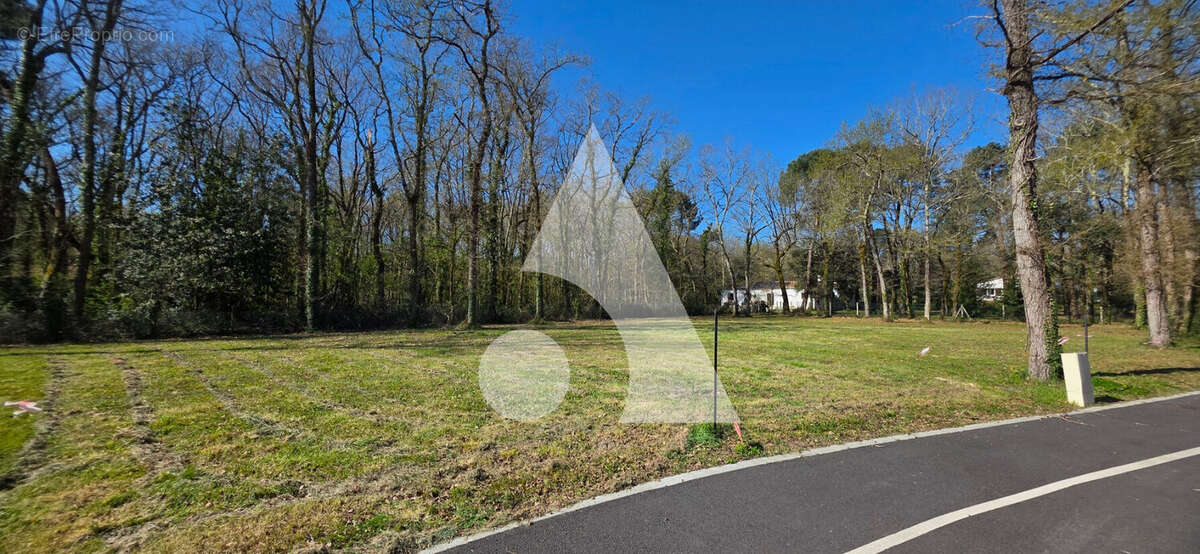 Terrain à LA TREMBLADE