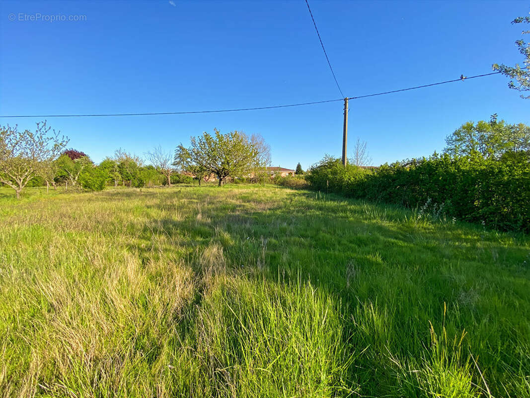 Terrain à MONTAUBAN