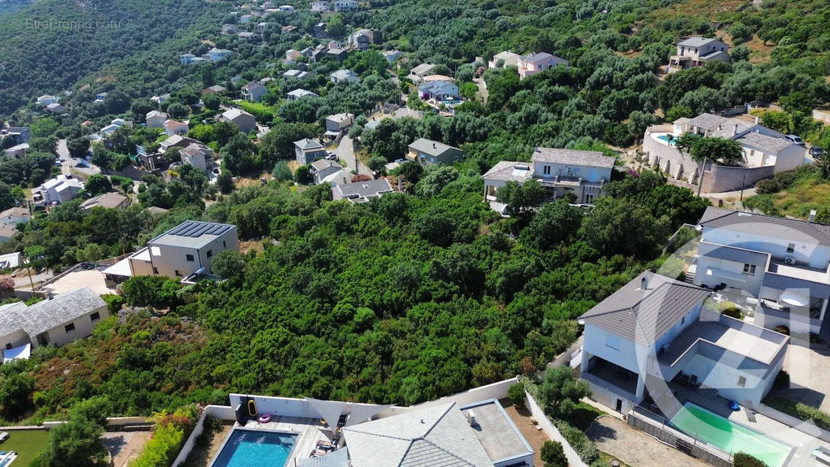 Terrain à SANTA-MARIA-DI-LOTA