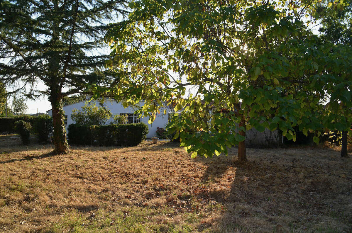 Maison en pierres de plain-pied à rénover - ST JEAN D HERMINE - 85210 - photo 9