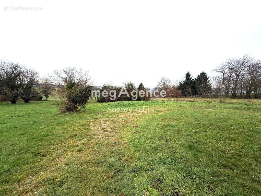 Maison à VILLENEUVE-SUR-YONNE