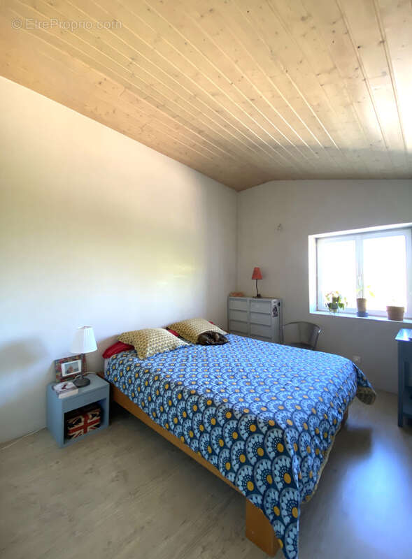 Maison entièrement rénovée avec piscine et studio indépendant - photo 9