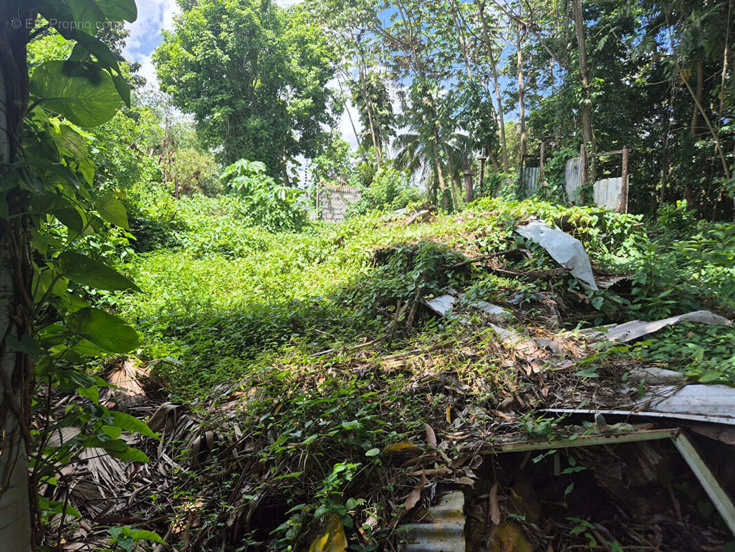 Terrain à LE LAMENTIN