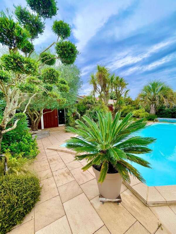 Photo 9 - Maison à LA TESTE-DE-BUCH