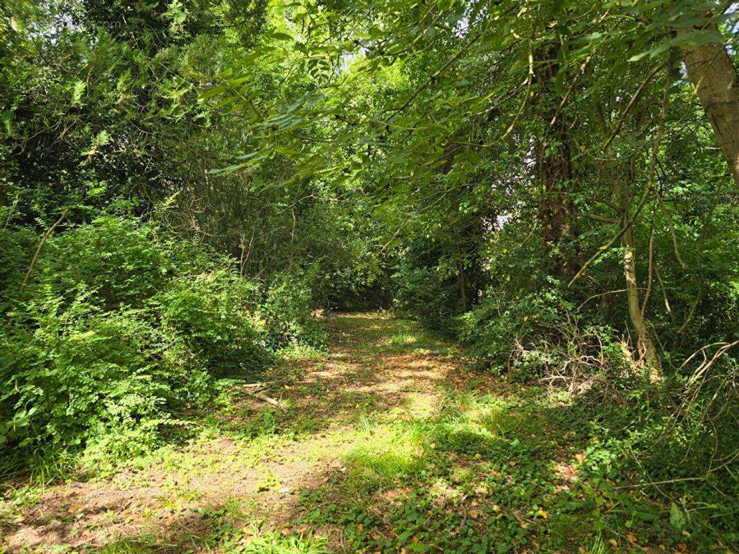 Terrain Palaiseau 853m² - possibilité création maison 140m² environ - photo 7