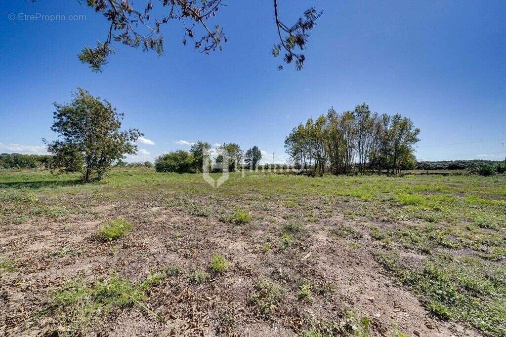 Maison en pierre de 340m² + dépendance 605 00€ FAI - photo 5