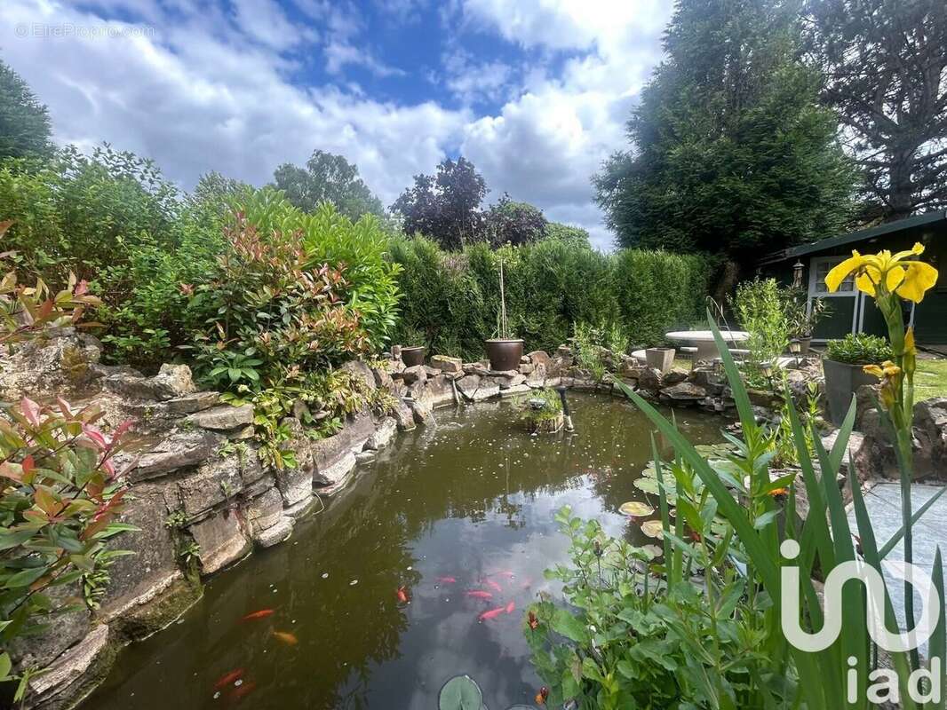 Photo 6 - Maison à MAUBEUGE