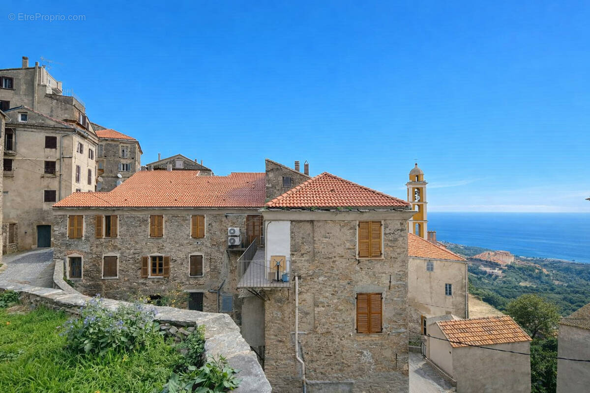 Appartement à CERVIONE