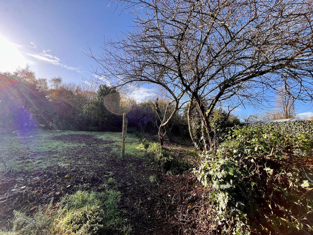 Maison à SAINT-JEAN-DE-BOISEAU