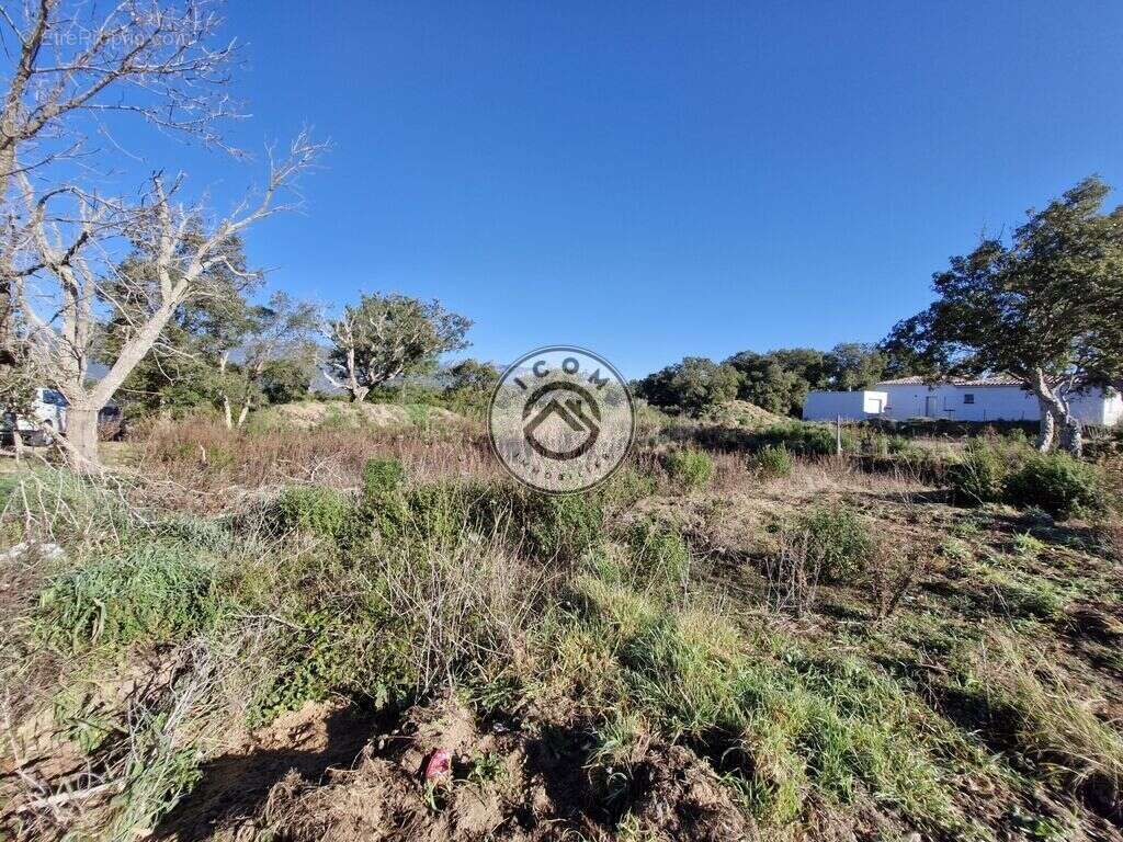 Terrain à FIGARI