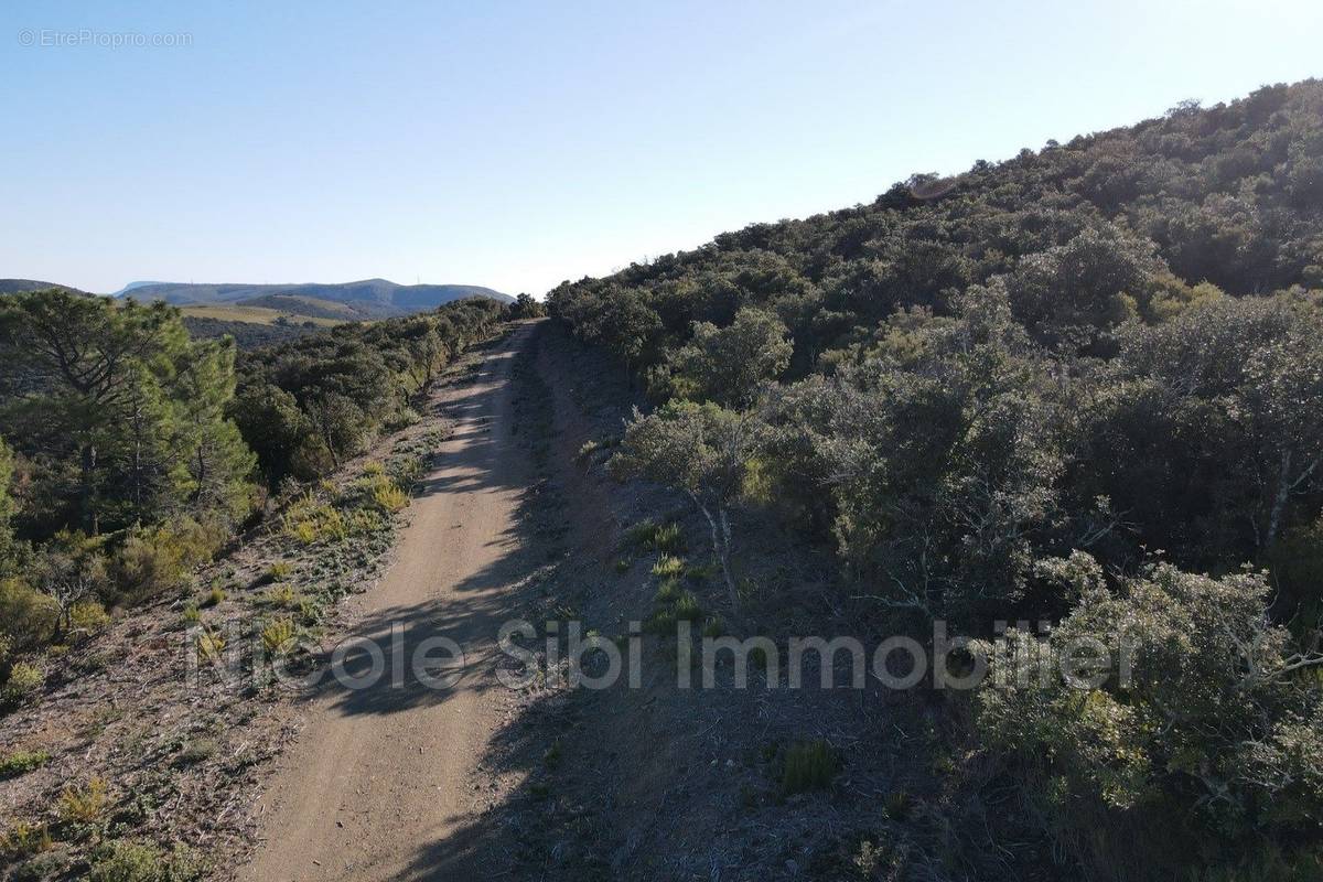 Terrain à RASIGUERES