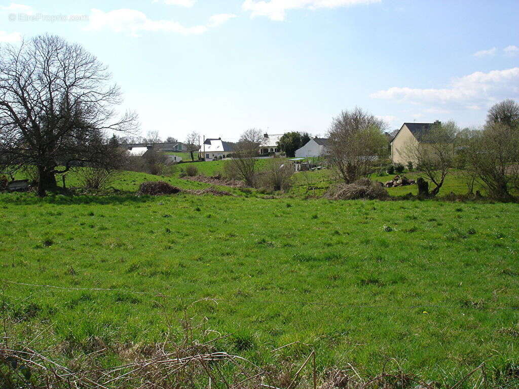 Terrain à LIMERZEL