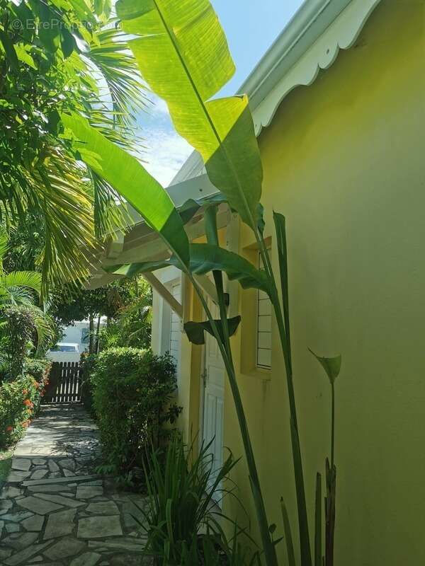 Maison à SAINT-FRANCOIS