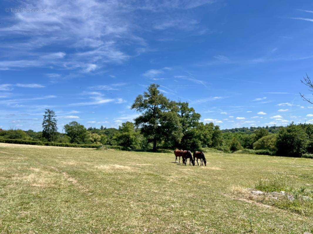 Domaine d'Exception de 17 Hectares, 4 chambres, 251m2 - gara - photo 30