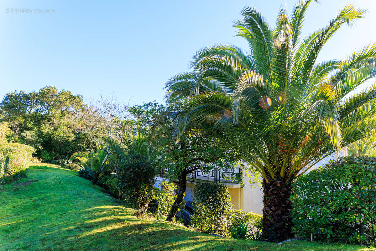 jardin